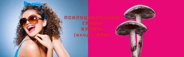 ECSTASY Алексин