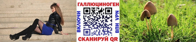 Псилоцибиновые грибы Cubensis  Кумертау 