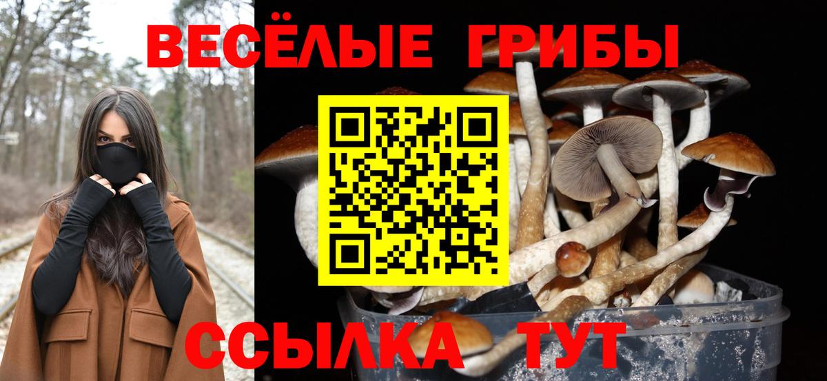 Псилоцибиновые грибы прущие грибы  Вход с VPN  Кумертау  Галлюциногенные грибы ЛСД 